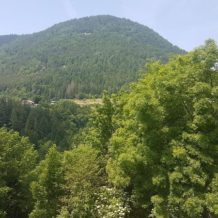 Appartamento Altipiano Pine 2 Bedollo Zewnętrze zdjęcie