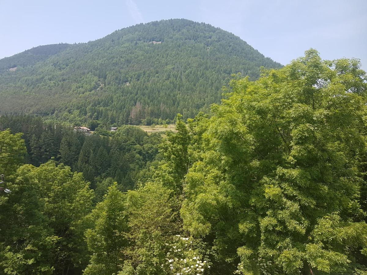 Appartamento Altipiano Pine 2 Bedollo Zewnętrze zdjęcie